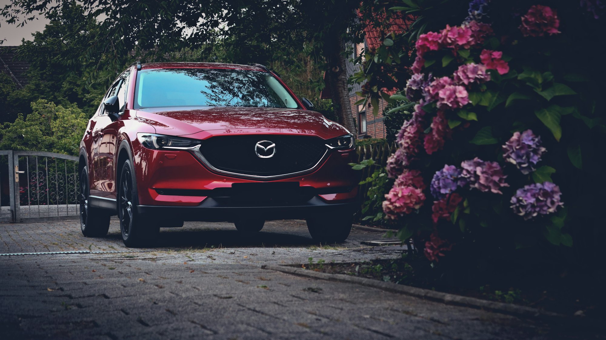 Mazda CX-5 rojo junto a hortensias